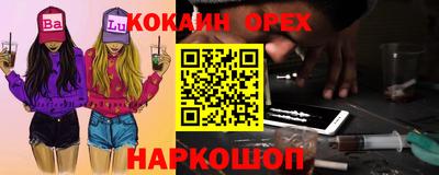 крисы Славгород