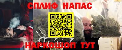 крисы Славгород