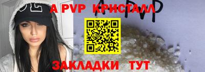 крисы Славгород