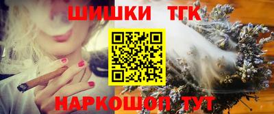 крисы Славгород